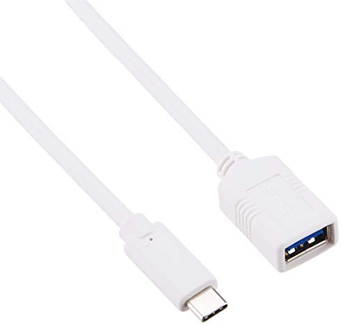 Buffalo USB 3.1 Gen 1 Conversion Cable Type A Female to Type C 0.15m White