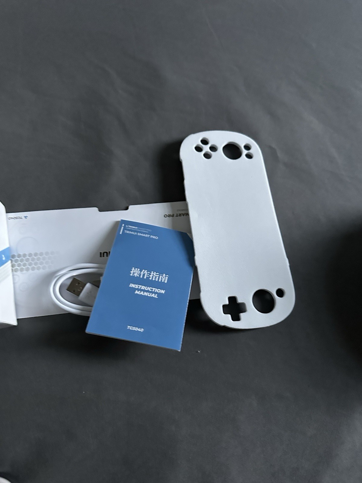 Trimui Smart Pro