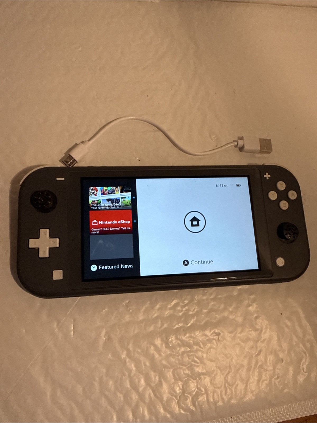 NINTENDO SWITCH LIGHT w/charger cord gray tested excellent working+condition