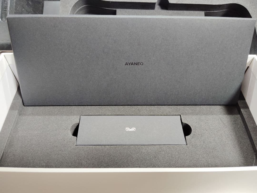 AYANEO Pocket EVO Snapdragon G3x Gen2 12GB 256GB