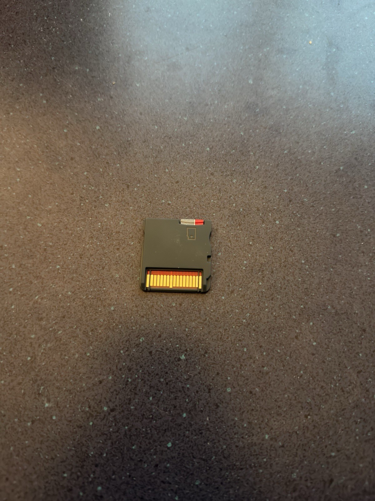 Nintendo DS Lite with R4 Cartridge 8GB microSD