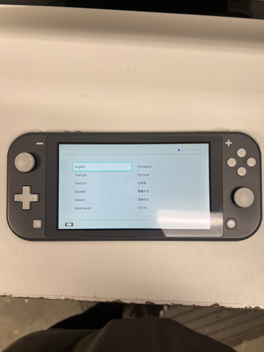 GREY NINTENDO SWITCH LIGHT HDH-001 WITH CASE. NO CHARGER (P03066283)