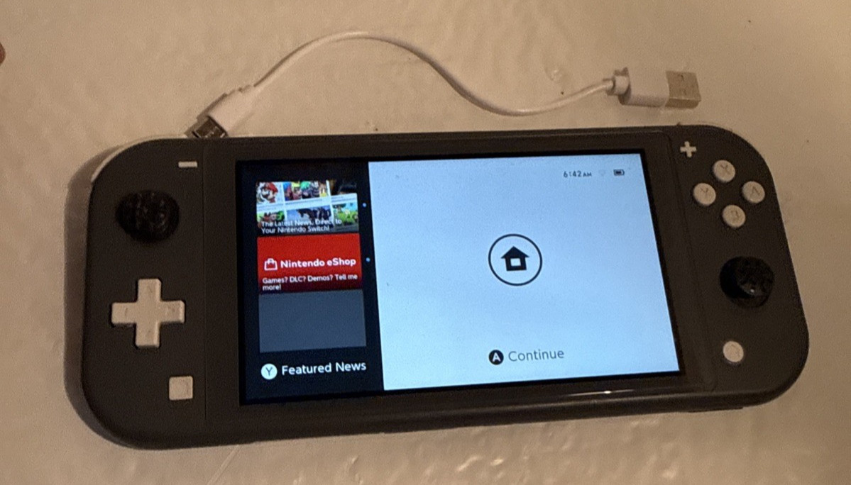 NINTENDO SWITCH LIGHT w/charger cord gray tested excellent working+condition