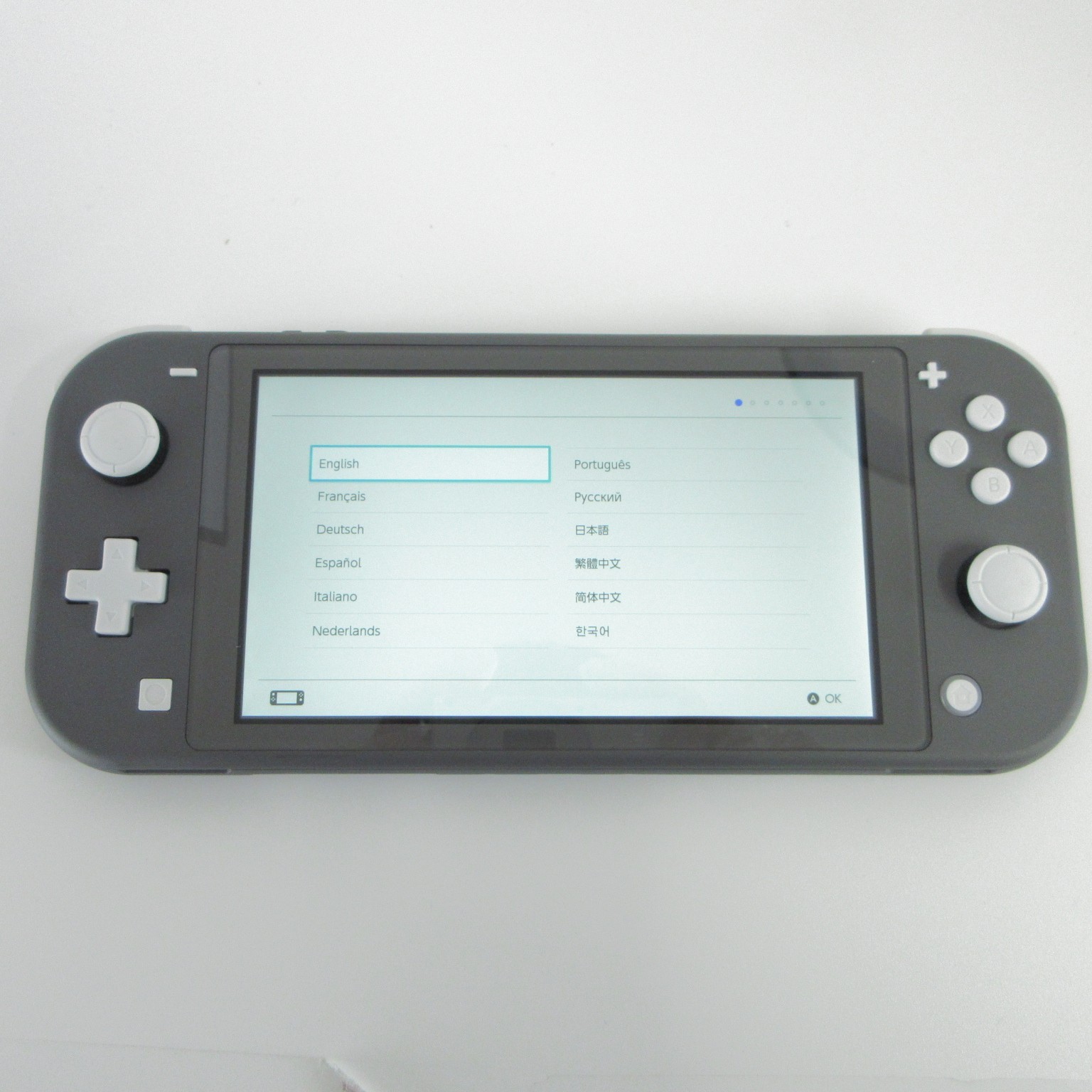 【Near Mint】Nintendo Switch Lite HDH-001 Gray Console Region Free #DEN0113/02