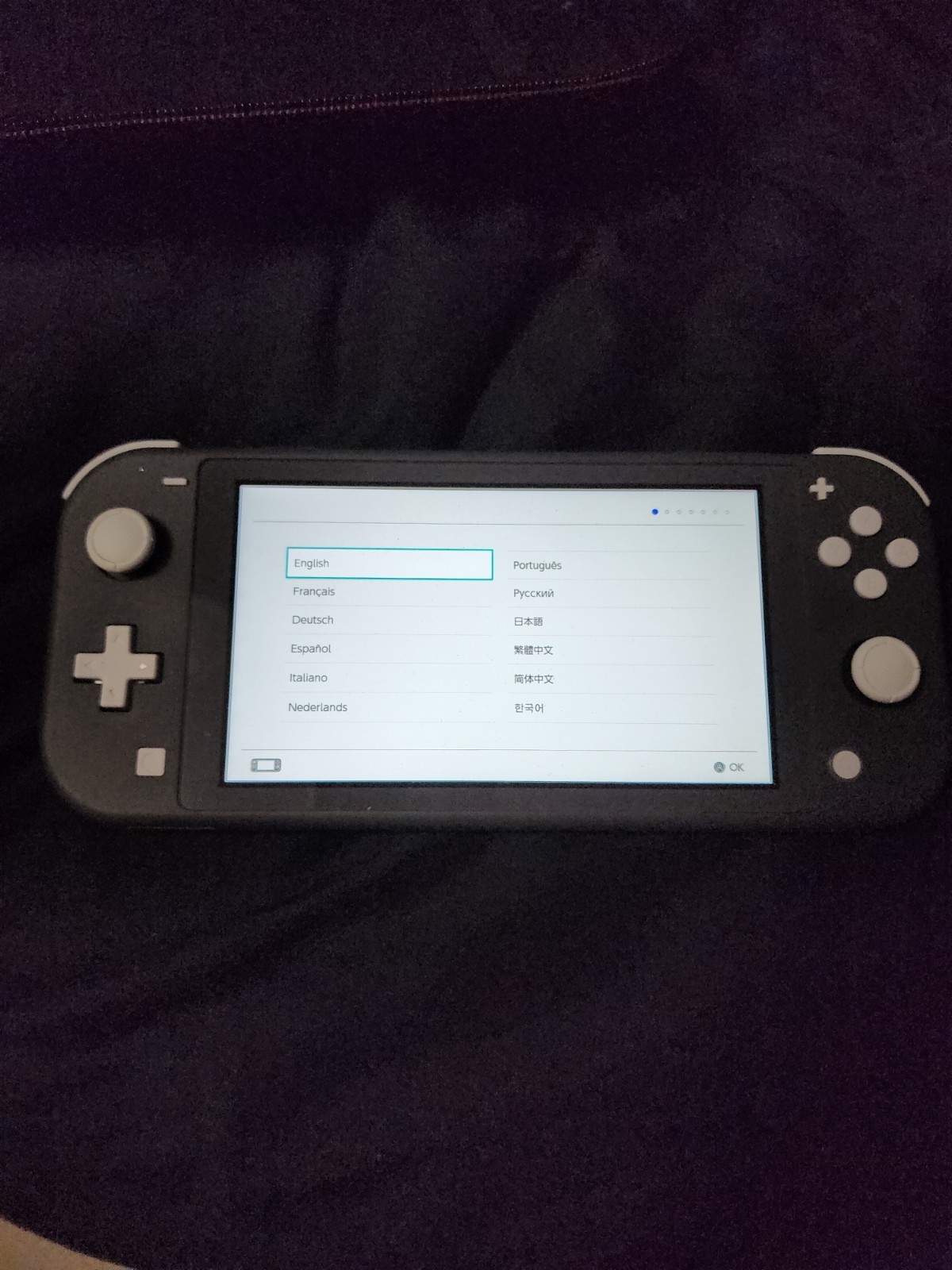 Nintendo Switch Lite Grey Console 32GB with 128GB microSD