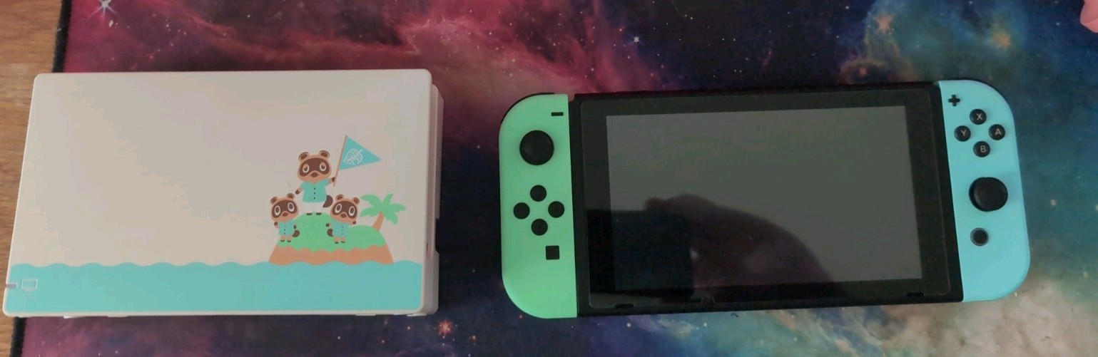 Nintendo switch Animal Crossing New Horizons edition and dock, no cables