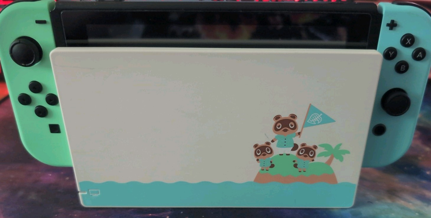 Nintendo switch Animal Crossing New Horizons edition and dock, no cables