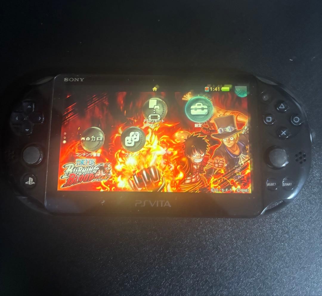PSVITA Sony Playstationvita Pch-2000 Za11 Japan
