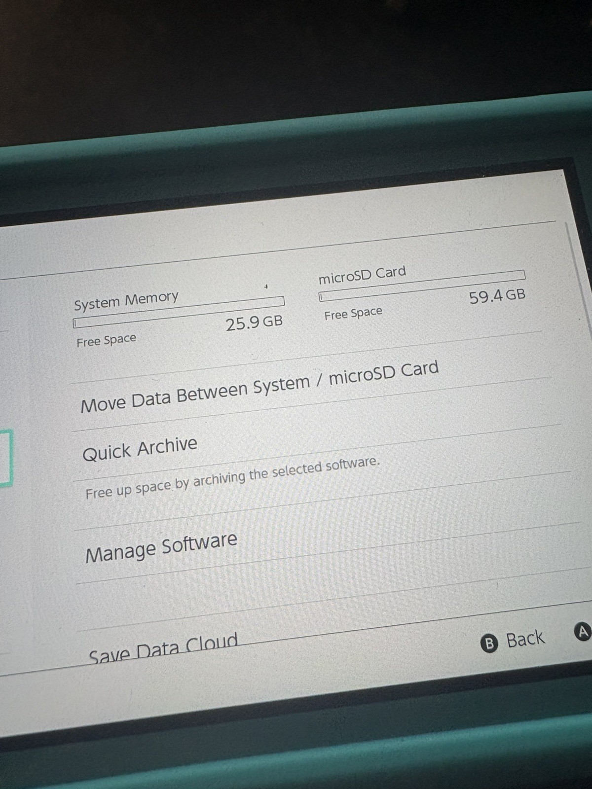 Nintendo Switch Lite 32GB+60GB chip & Luigi’s mansion lot