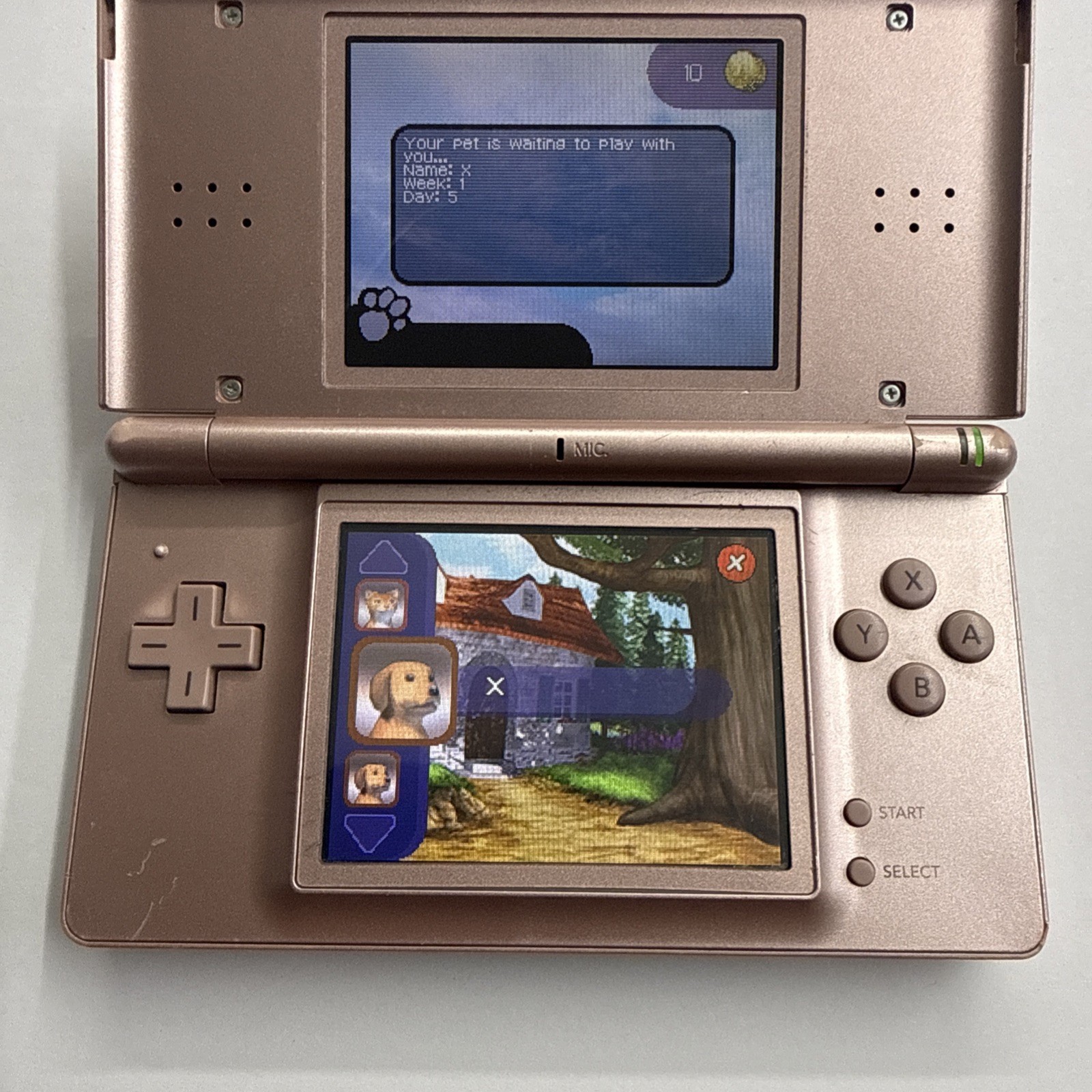 Ds – Nintendo DS Lite Nintendogs Best Friend Metallic Rose Console Tested 2945