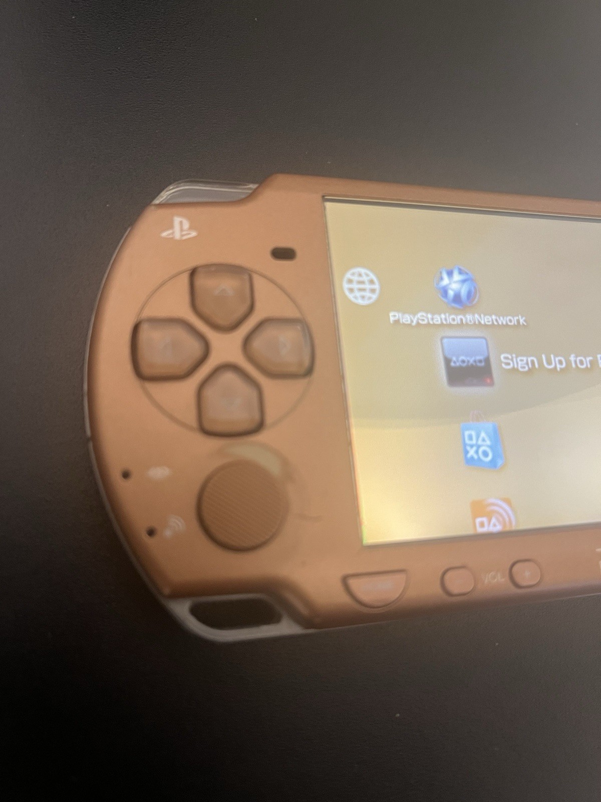 Sony PSP 2000 Monster Hunter