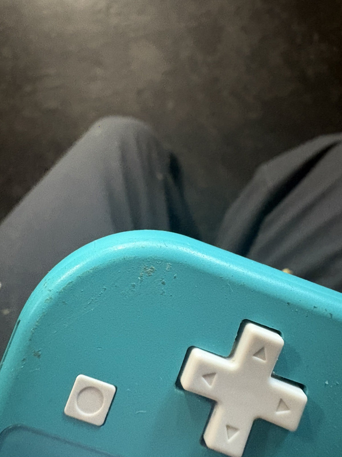 Nintendo Switch Lite 32GB+60GB chip & Luigi’s mansion lot