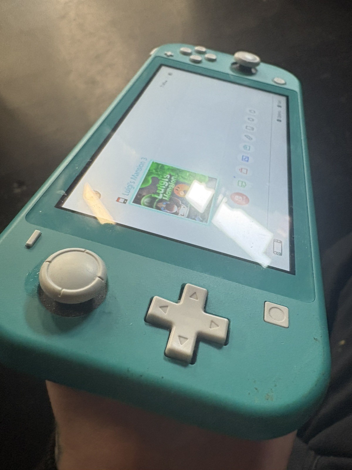 Nintendo Switch Lite 32GB+60GB chip & Luigi’s mansion lot