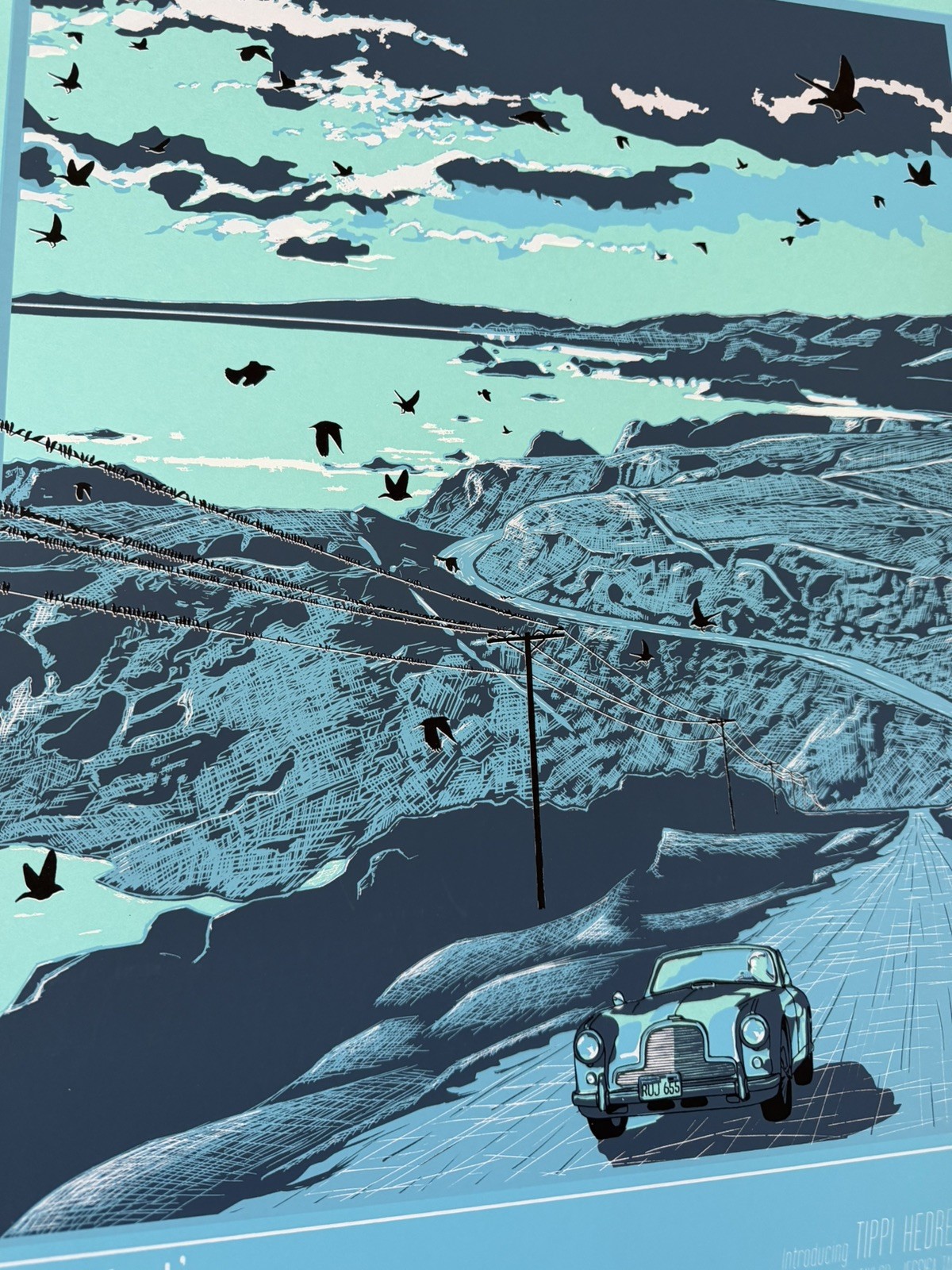 The Birds by New Flesh – Alfred Hitchcock Art Print Poster Mondo 2012 18×24