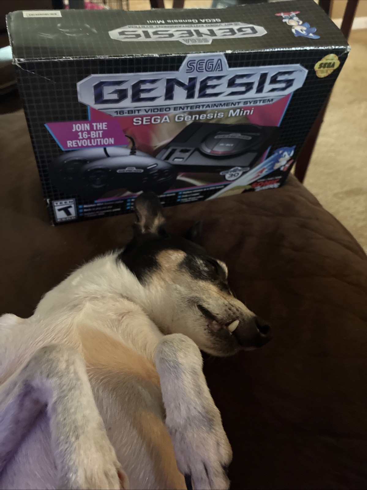 SEGA Genesis Mini Home Game Console – Black
