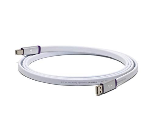 NEO by OYAIDE Elec d USB class S rev.2 1.0m USB cable