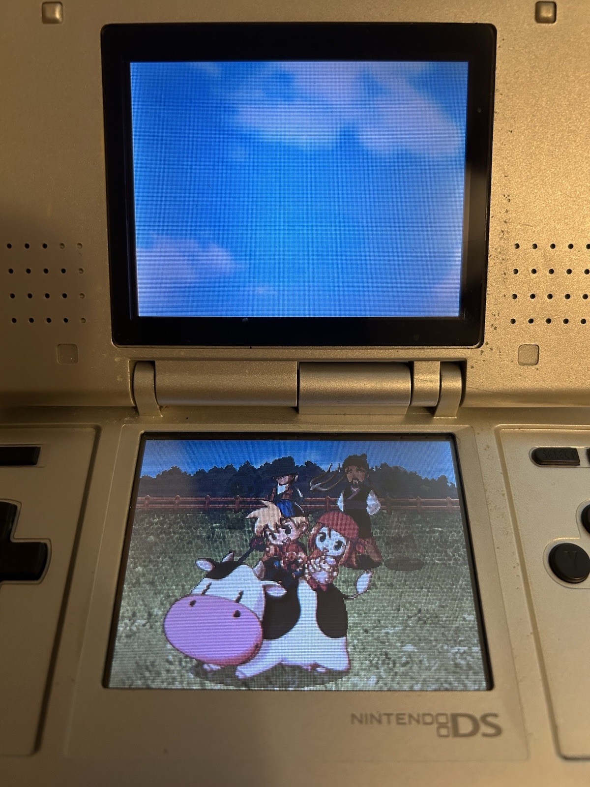 Original Nintendo Ds with Box and Manuals Working Condition